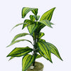 ARTIFICIAL PLANT