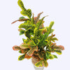 ARTIFICIAL PLANT