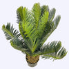 ARTIFICIAL PLANT