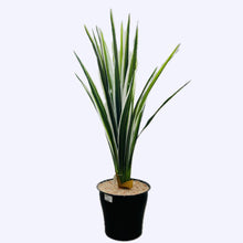  ARTIFICIAL PLANT