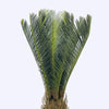 ARTIFICIAL PLANT