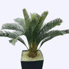 ARTIFICIAL PLANT