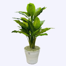  ARTIFICIAL PLANT