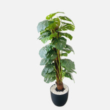  ARTIFICIAL PLANT