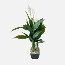  ARTIFICIAL PLANT