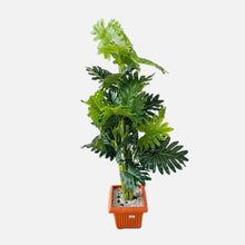  ARTIFICIAL PLANT